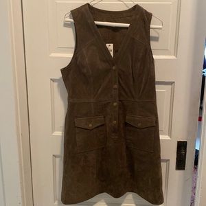 Anthropologie Dress- Pilcro suede moss shift